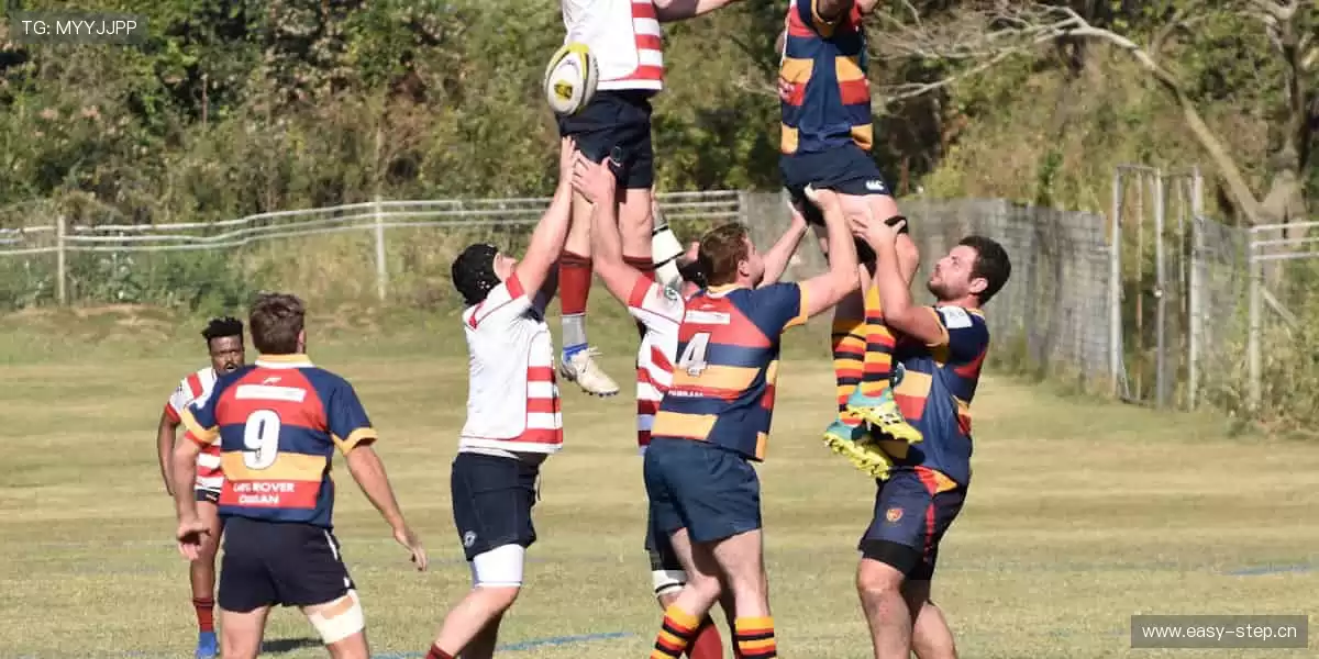 💻指尖滑动,实时掌控赛场风云!📡